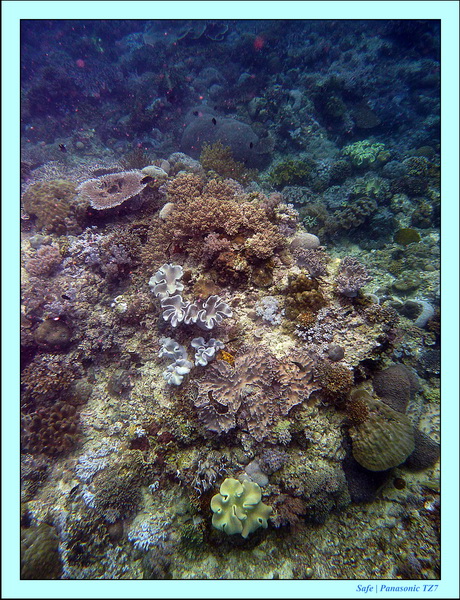 2012 - 07 - Boracay plongee - 05